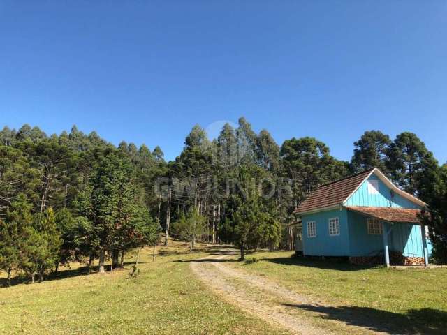 Chácara / sítio com 3 quartos à venda na Laranjeiras, 14000, Centro, Campo Alegre por R$ 1.500.000