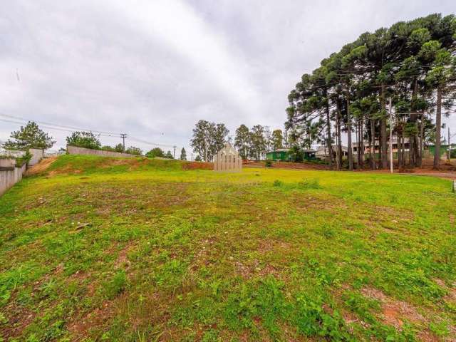 Terreno em condomínio estruturado com área de preservação.