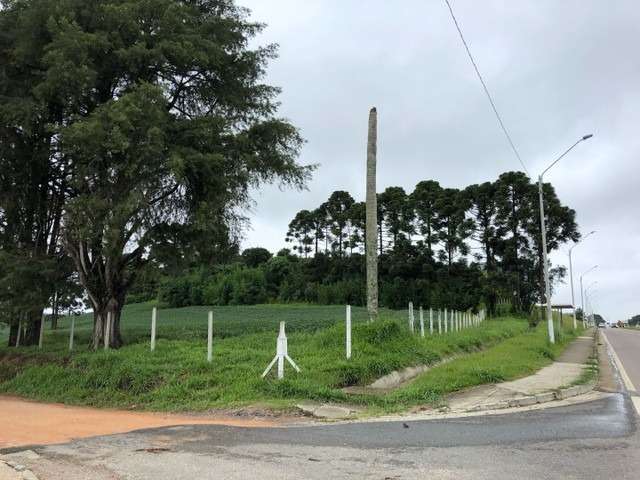 Área industrial em frente a BR 376 Miringuava SJP Próximo ao Auto Posto Nicola Pelanda