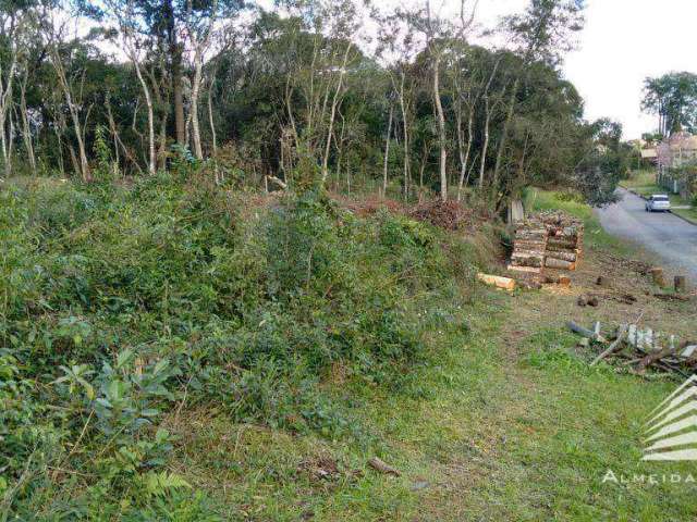 Terreno a venda em Santa Felicidade, 856 m², Rua Emílio Alexandrino da Silva