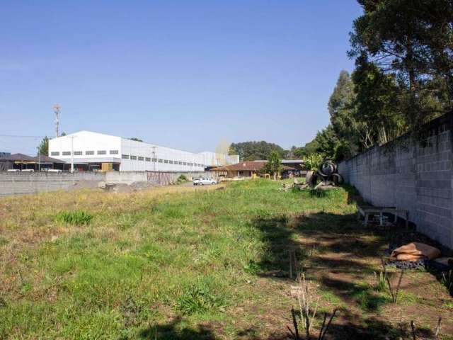 Terreno para Venda em São José dos Pinhais, Borda do Campo