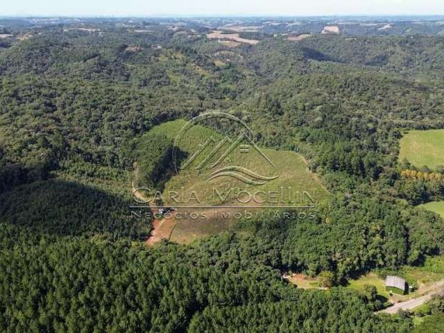 Chácara / sítio com 1 quarto à venda na Augusto Mocelin, 0001967, Bateias, Campo Largo por R$ 3.150.000