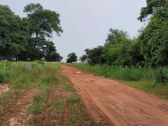 Fazenda para Venda em Barra do Garças, Área Rural