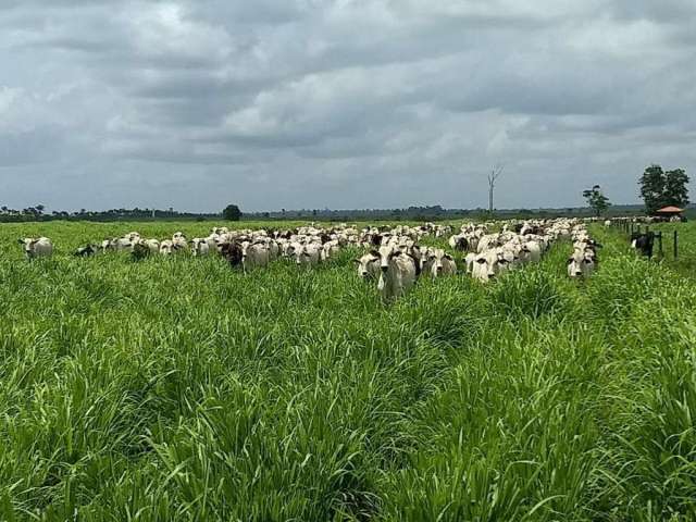 Fazenda para Venda em Itinga do Maranhão, Área Rural