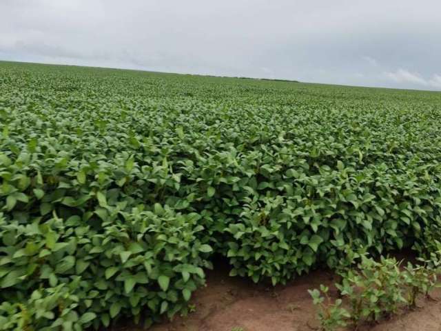 Fazenda para Venda em Balsas, Área Rural