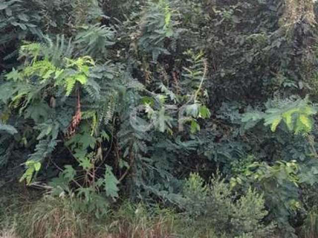 Terreno à venda na Rua Antônio Alves Bueno de Oliveira, Jardim São Vicente, Campinas por R$ 280.000