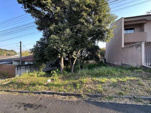 Terreno Lote para Venda em Vila Solene Campo Largo-PR