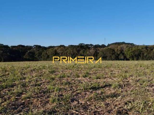 Terreno 2,2 Hectares em área Rural em Campo Largo