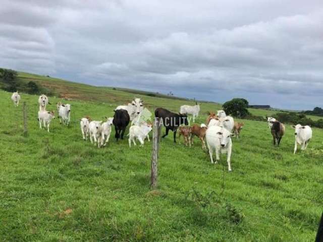 Fazenda com 1 sala à venda na Rural, 10, Centro, Alambari, 2107820 m2 por R$ 21.800.000