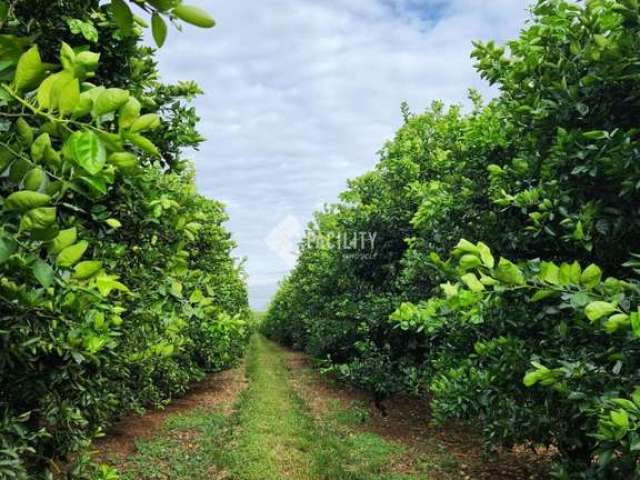 Fazenda com 1 sala à venda na Rural, 100, Área Rural de São José do Rio Preto, São José do Rio Preto, 1219680 m2 por R$ 22.000.000