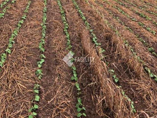 Fazenda com 1 sala à venda na Rural, 200, Área Rural de Itapetininga, Itapetininga, 992200 m2 por R$ 6.560.000