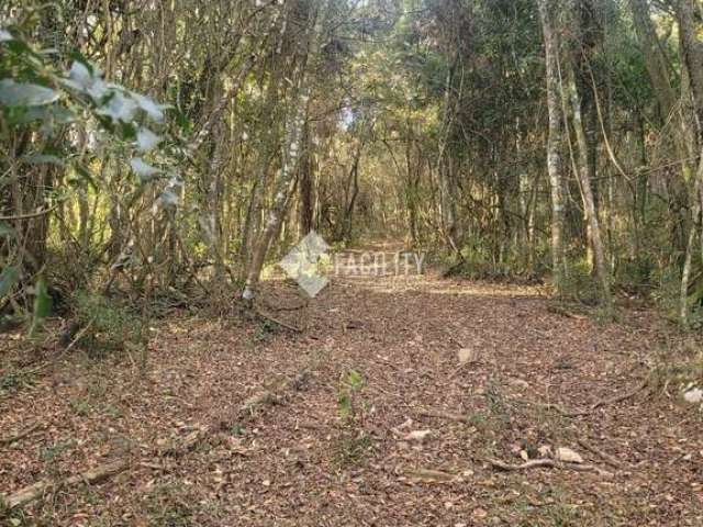 Terreno à venda na Rodovia Jose Bueno de Miranda, 100, Zona Rural, Munhoz por R$ 160.000