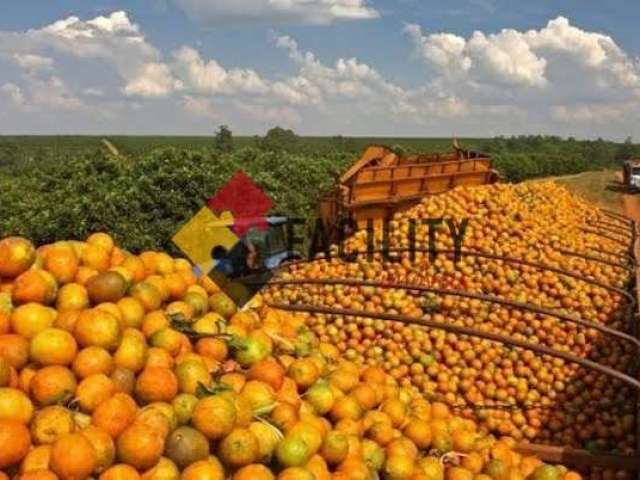 Fazenda à venda na Rua Joaquim José 287, 10, Zona Rural, Aguaí por R$ 35.000.000