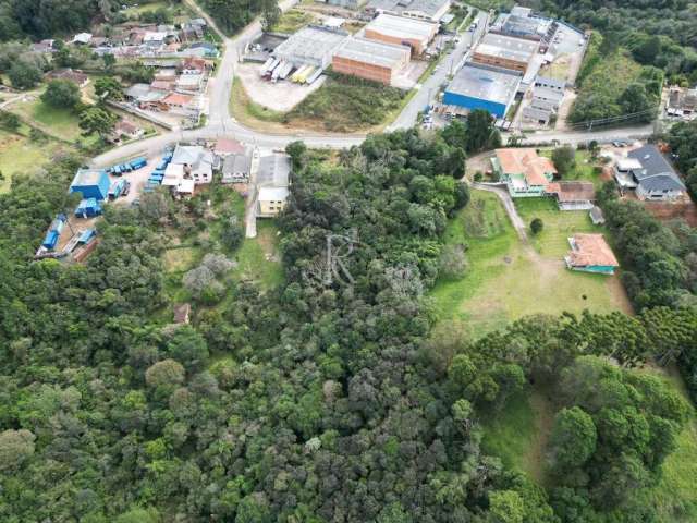 Terreno, Barro Preto, São José dos Pinhais - R$ 800 mil, Cod: 209