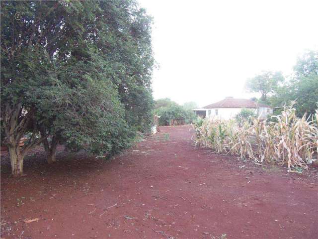 Terreno à venda e para alugar em Londrina, Indústrias Leves, com 3000 m²