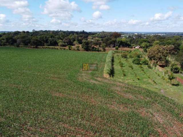 Área para Venda em Foz do Iguaçu, Imóvel Alwin