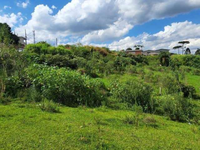 Terreno à venda- Campina da Barra - Araucária/PR