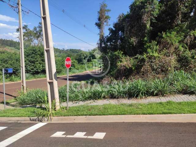 Terreno com 260m  no Ecoville l com fácil acesso à Avenida Tancredo Neves