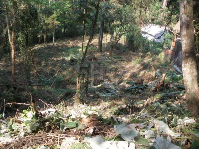 Terreno à venda na Avenida Nova Cantareira, 7000, Tucuruvi, São Paulo por R$ 1.280.000