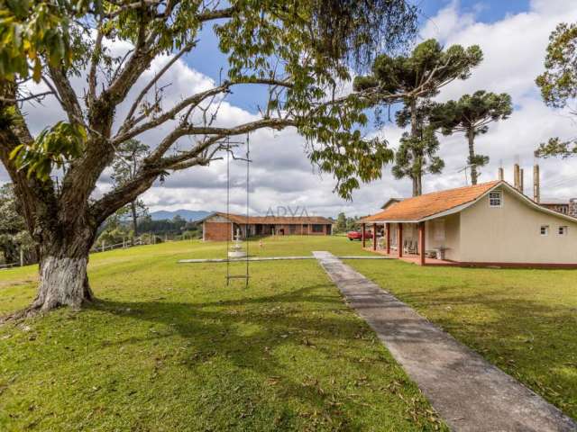 Chácara / sítio com 6 quartos à venda na Rua Basílio Lecheta, S/N, Planta Laranjeiras, Piraquara, 219615 m2 por R$ 12.000.000