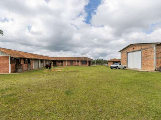 Fazenda à venda na Rua Basílio Lecheta, Planta Laranjeiras, Piraquara, 219615 m2 por R$ 12.000.000