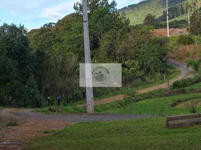 Chácara a venda em Campo Alegre, frente para a SC-110, com 28.300 m², escriturada