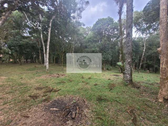 Terreno em Campo Alegre, ótimo para casa de campo, são 14.000 m²