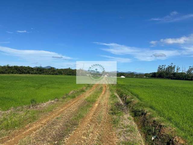 Area de arrozeira toda plana com 114.800 m², documentado, no Rio Bonito