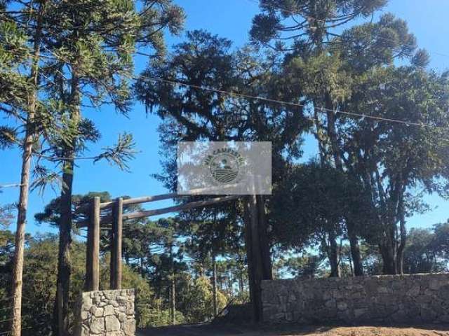 Terreno em condominio de chacaras em Campo Alegre, Bateias de Baixo, com 36.062 m2