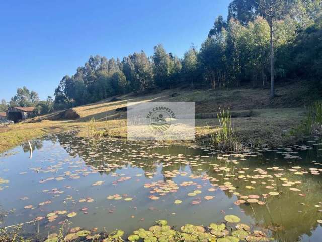 Sítio com 4.951 m², com riacho, lago, lindas araucárias, com rua asfaltada em frente