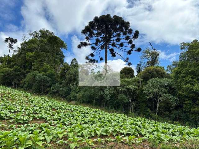 Sítio com 3.200 m², em Campo Alegre, região do Salto, IMOVEL ESCRITURADO