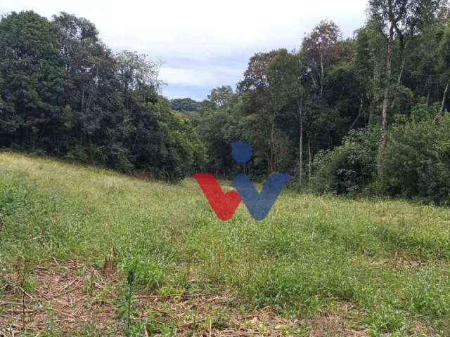 Chácara à venda, 24300 m² por R$ 600.000,00 - Zona Rural - Araucária/PR