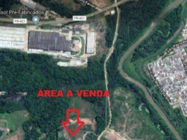 Terreno à venda, 114000 m² por R$ 29.640.000,00 - Thomaz Coelho - Araucária/PR