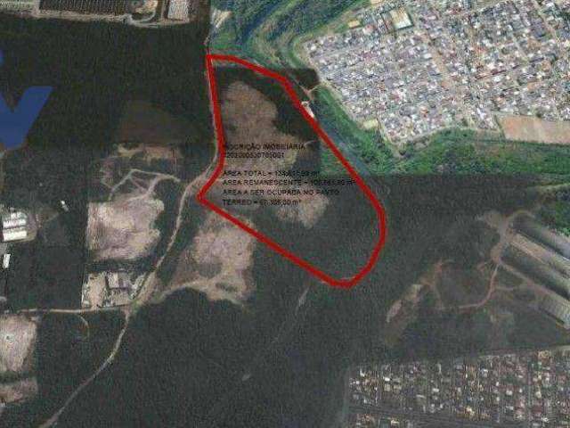 Terreno à venda, 184000 m² por R$ 47.840.000,00 - Thomaz Coelho - Araucária/PR