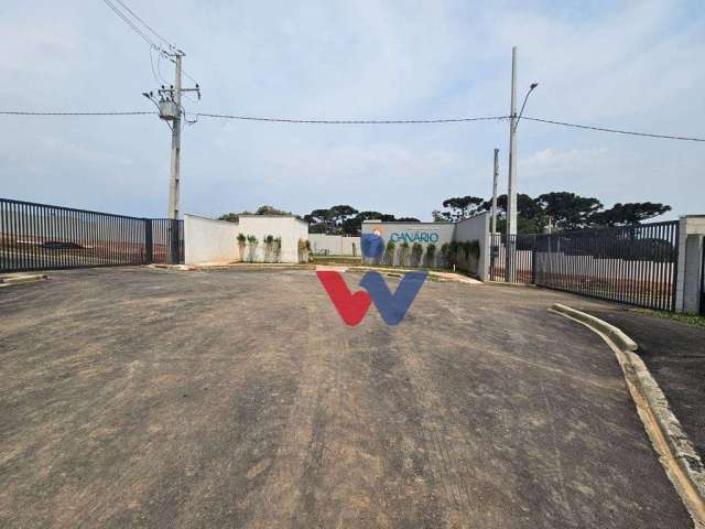 Terreno à venda, 139 m² por R$ 300.000,00 - Capela Velha - Araucária/PR