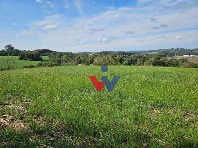 Chácara à venda, 23000 m² por R$ 575.000,00 - Zona Rural - Araucária/PR