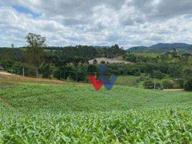 Chácara à venda, 94682 m² por R$ 1.350.000,00 - Zona Rural - Tijucas do Sul/PR