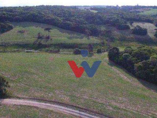 Sítio com 2 dormitórios à venda, 677600 m² por R$ 4.200.000,00 - Zona Rural - Lapa/PR