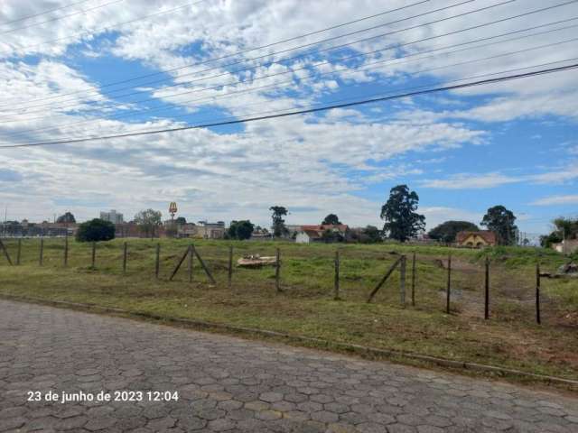 Terreno com casa cental pinhais