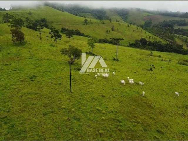 Fazenda à venda, Rural, Laranjeiras do Sul, PR