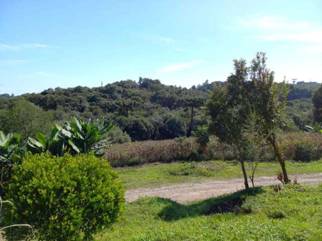 Chácara para Venda em Balsa Nova, Jardim Bela Vista