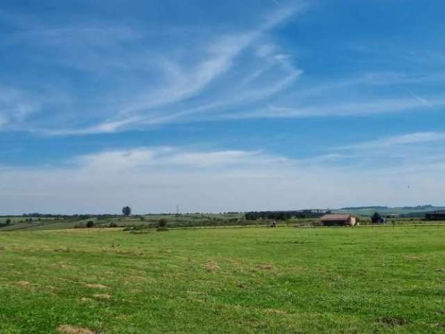 Chácara para Venda em Balsa Nova, São Luiz do Purunã