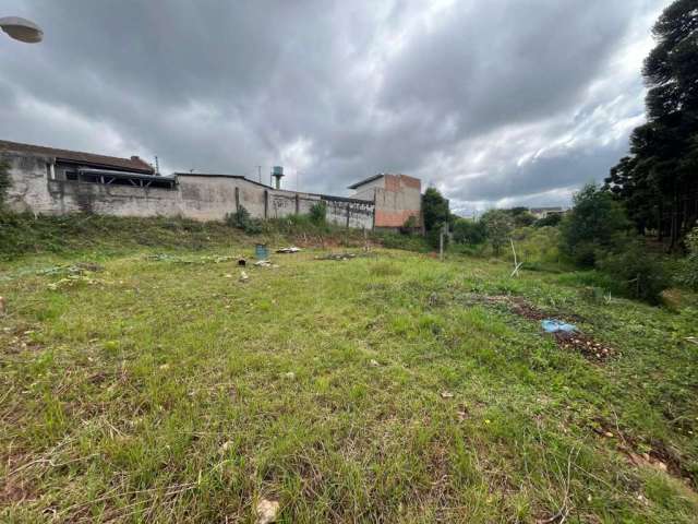 Terreno para Venda em Campo Largo, Rivabem