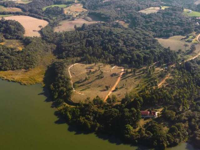 Chácara para Venda em Campo Largo, Sitio Santa Ana