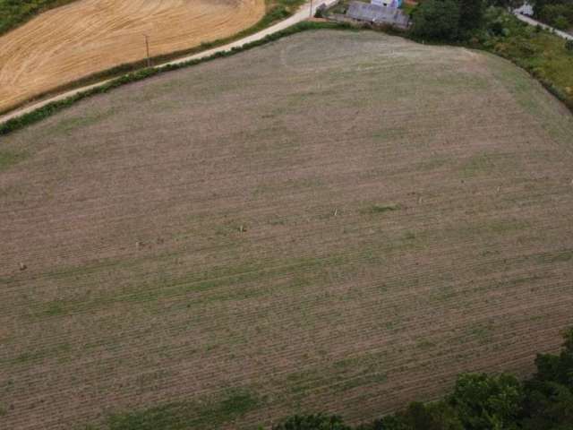 Terreno para Venda em Balsa Nova, Mineiros