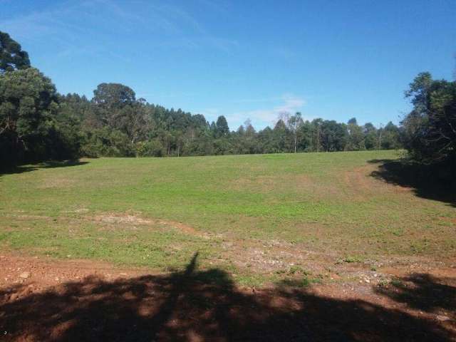 Terreno para Venda em Campo Largo, Vila Delurdes