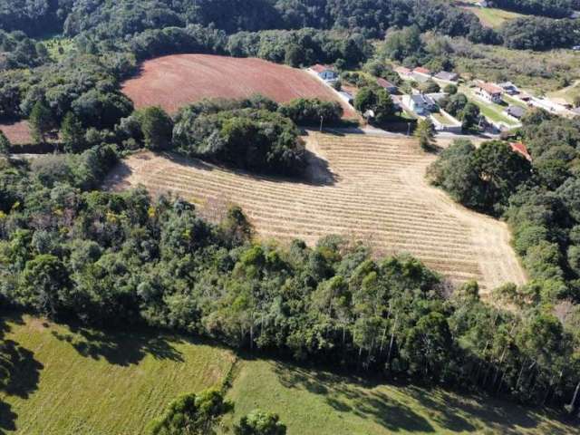 Terreno para Venda em Campo Largo, Vila Delurdes