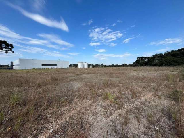 Terreno Industrial para Locação em Campo Largo, Fazendinha