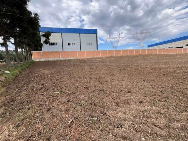 Terreno Industrial para Locação em Campo Largo, Salgadinho