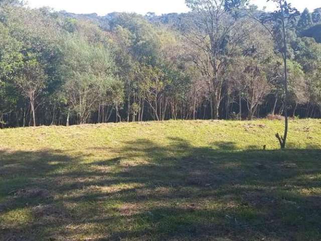 Chácara para Venda em Campo Largo, Jardim Florestal